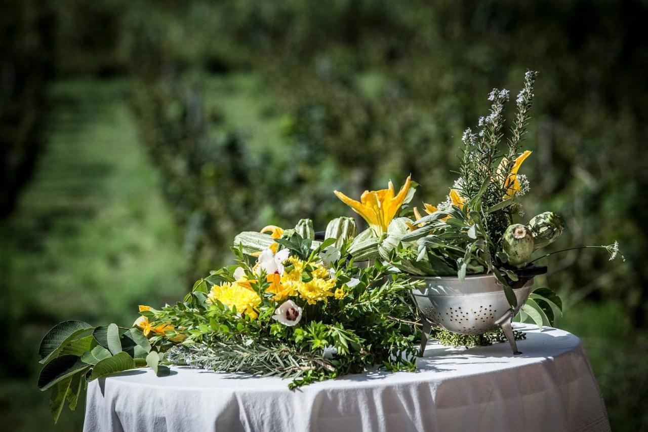 Piccolo Casale A "Le Moline" In Una Vera Fattoria เวตรัลลา ภายนอก รูปภาพ
